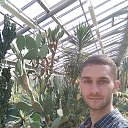 ���� ����, �����-���������, 36 ��� - ��������� 30 ���� 2023 � ������ ���� ����������