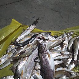 ���� ����, ������, 38 ��� - ��������� 18 ������� 2023