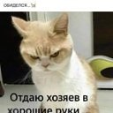 ���� �����, �����, 38 ��� - ��������� 2 ���� 2023 � ������ ���� ����������