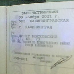 ���� Vladimir, ������, 79 ��� - ��������� 24 �������� 2023
