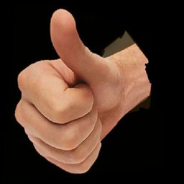 ���������, �����, 63 ����