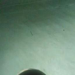 ����, �����������, 41 ���