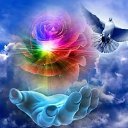 ���� ������, ������������, 37 ��� - ��������� 29 ������ 2023