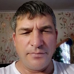 �����, ��������, 48 ���