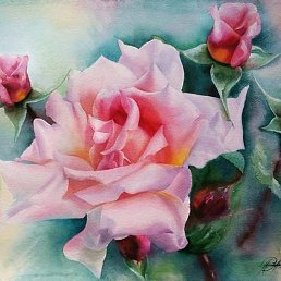 �������, ������������, 71 ���