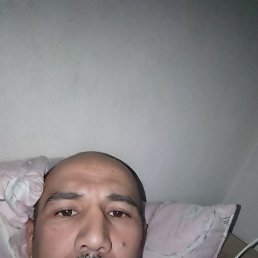 , 40, 