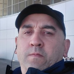 �����, �����-���������, 43 ����