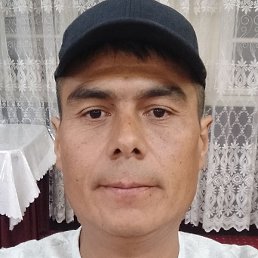 �����, �������, 44 ����