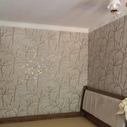 ������, �����, 36 ���