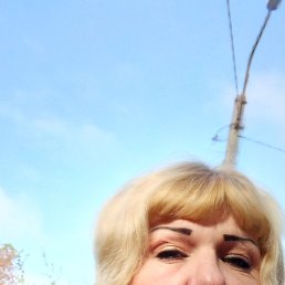 �����, ��������, 43 ����