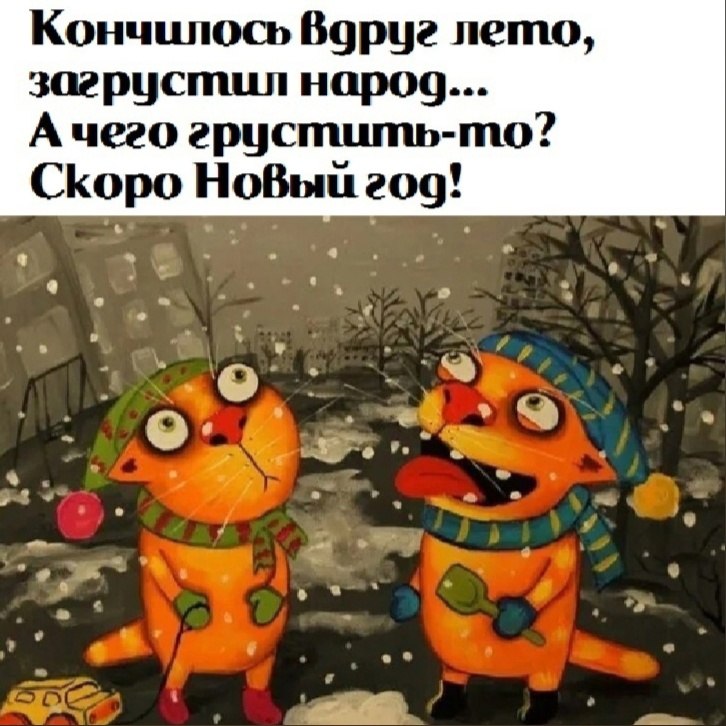  - 3  2023  11:49