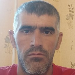 ����, ������������, 46 ���