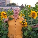 ���� ����, �����, 57 ��� - ��������� 22 ���� 2023