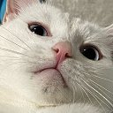 ���� ����, ������, 45 ��� - ��������� 17 ������� 2023 � ������ ���� ����������