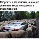 ���� �������, ����� - ��������� 17 ������� 2023 � ������ ���� ����������