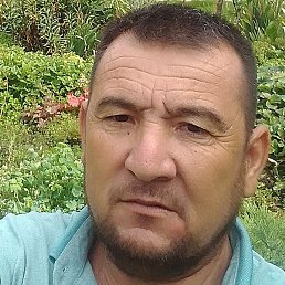 �����, ������, 51 ���