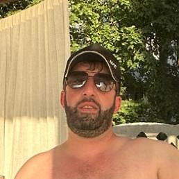 �����, ������, 41 ���