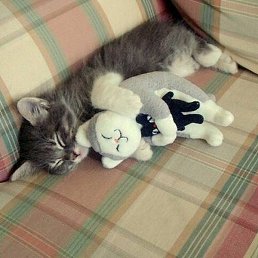 �������, �����-���������, 37 ���