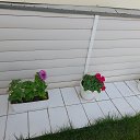 ���� ������, �����������, 69 ��� - ��������� 23 ���� 2023 � ������ ���� ����������