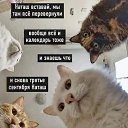 ���� �������, ��������, 43 ���� - ��������� 3 �������� 2023 � ������ ������ ��������