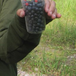 ���������, �����������, 73 ����