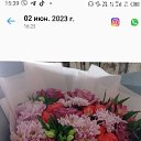 ���� ����, ����������, 46 ��� - ��������� 26 �������� 2023