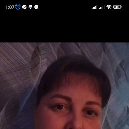 , 44 , 