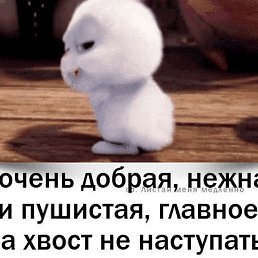 ����, �������, 35 ���