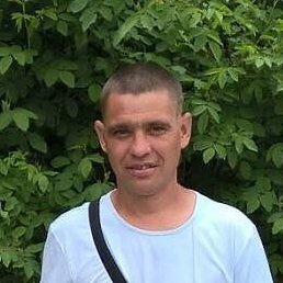 ������, ������, 41 ���