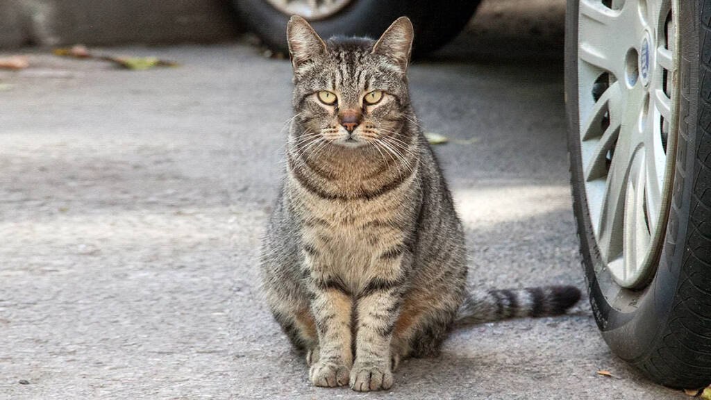 ,   ,    ,       ...