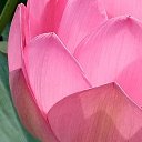 ���� �����, �����������, 51 ��� - ��������� 8 ������� 2023