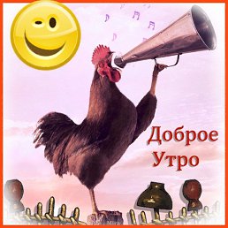 ���� Dian, ������, 37 ��� - ��������� 12 �������� 2023