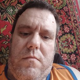 �������, ������, 41 ���