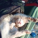 ���� �������, ������, 44 ���� - ��������� 7 ����� 2023