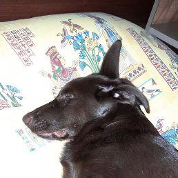 ������, ������, 32 ����