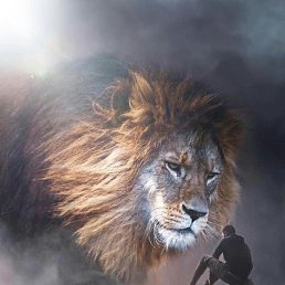 ���� ����, �����������, 47 ��� - ��������� 12 �������� 2023