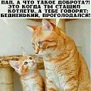 ���� ��������, ���� - ��������� 18 ������� 2023 � ������ ������ ��������