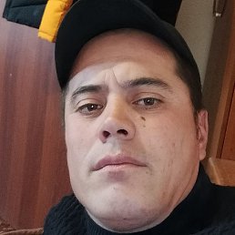 �������, ���������, 40 ���