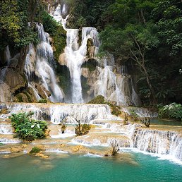 �����, ������, 37 ���