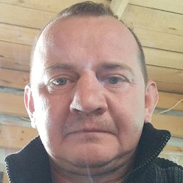 ����, ������, 40 ���