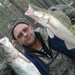 �������, ������, 60 ���