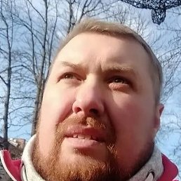 ����, �������, 37 ���