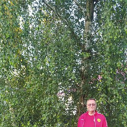 �������, ������, 59 ���