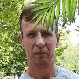 ������, ������, 49 ���