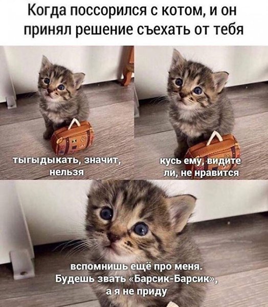    - 19  2023  18:37