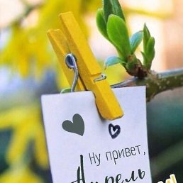 �, �����-���������, 52 ����