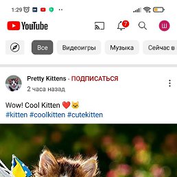 �����, �����, 38 ���