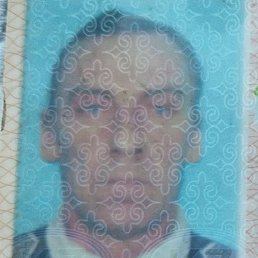 ����, ��������, 54 ����