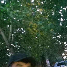 �����, ������, 37 ���