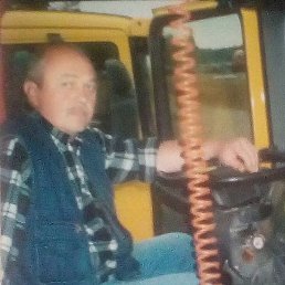 ����, ������, 66 ���